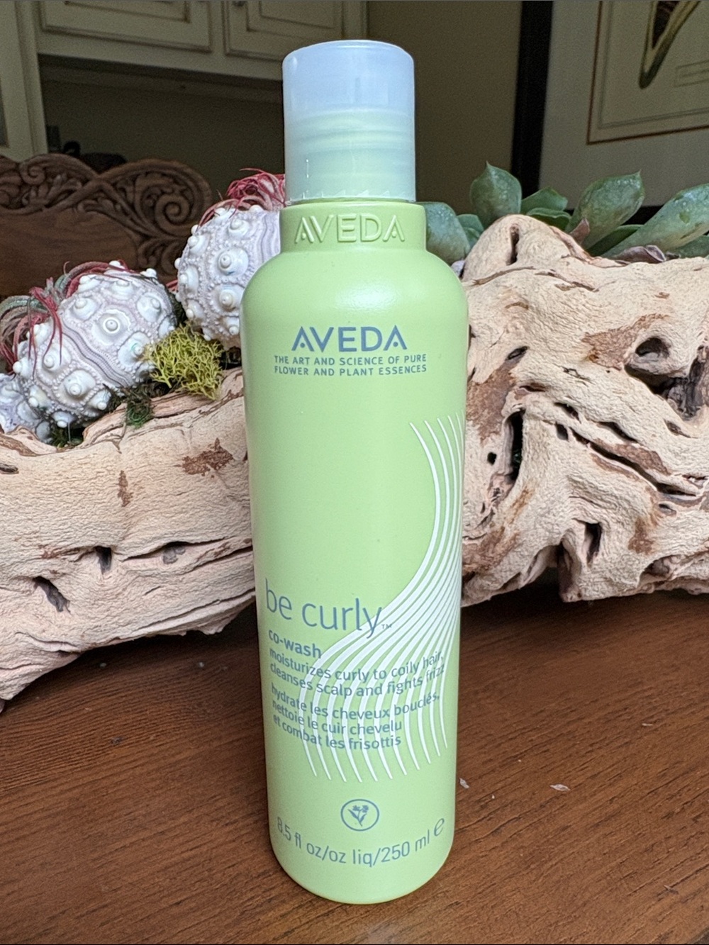 Aveda Be Curly Co-Wash